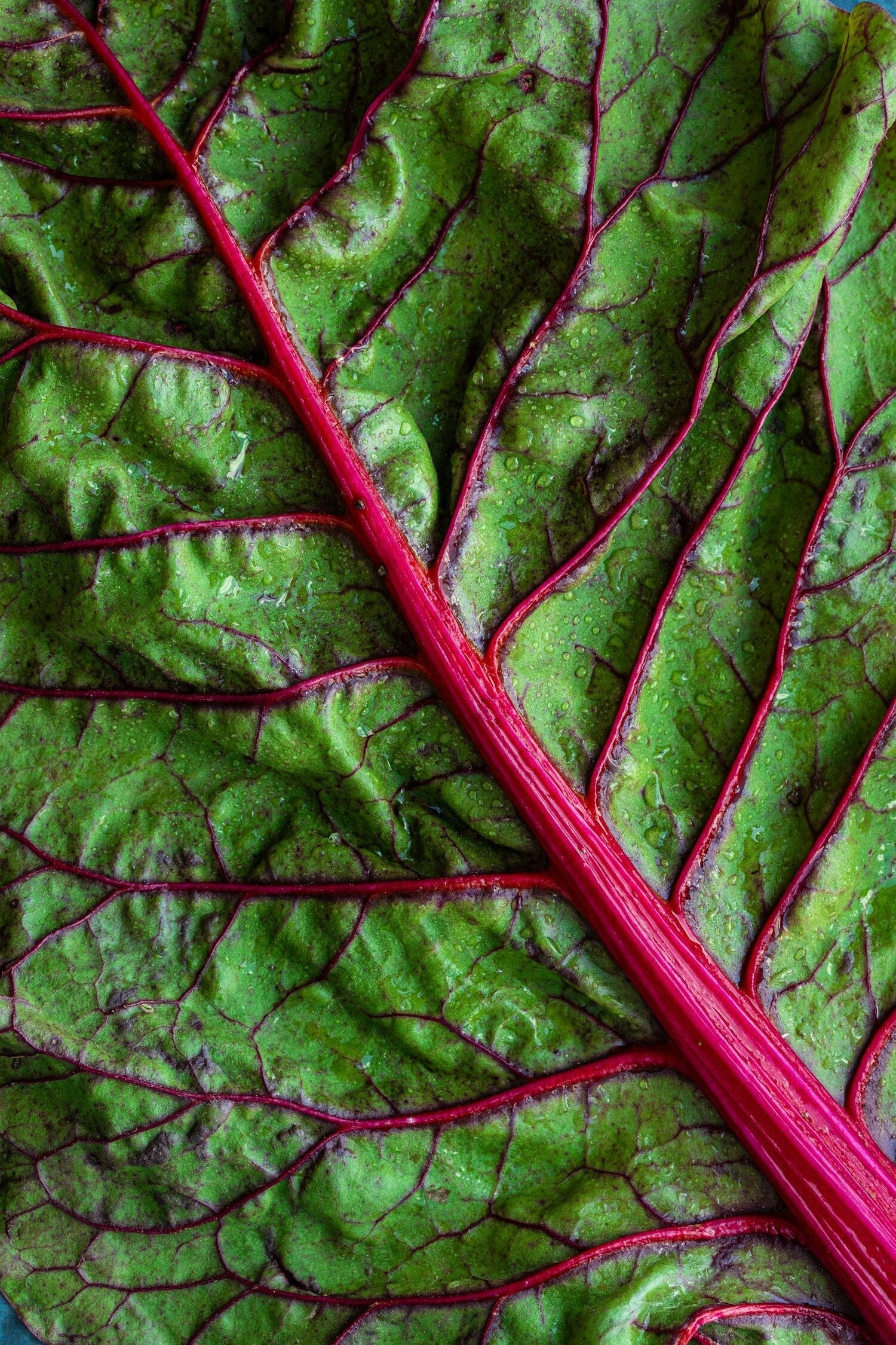 Nourishing from within: A holistic approach to optimal health
