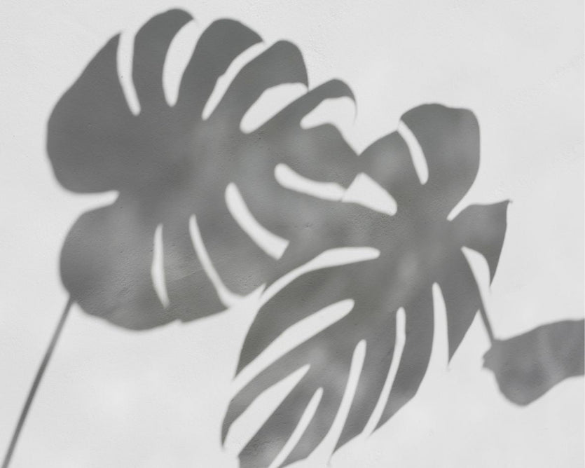 Unlocking Radiant Skin: The Synergy of Topical Skincare and Internal Supplementation