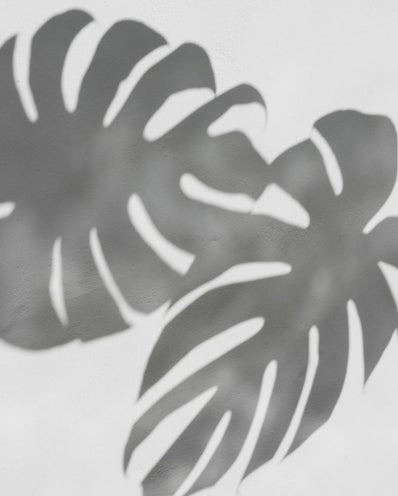 Unlocking Radiant Skin: The Synergy of Topical Skincare and Internal Supplementation